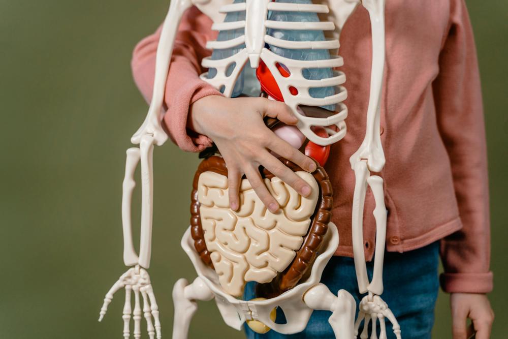 Biology student